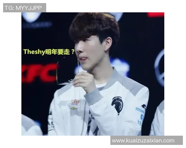 WE战队转型之路揭秘：从辉煌到重生的奋斗历程与未来展望