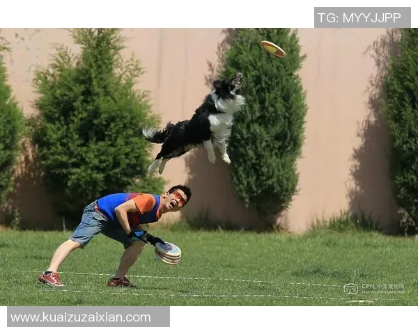 武汉飞盘队在极限运动世界杯中的灵活性表现与战术分析